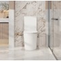 Pani Gloss White Rimless Toilet Suite